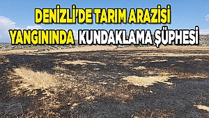 Denizli'de tarım arazisi yangınında kundaklama şüphesi