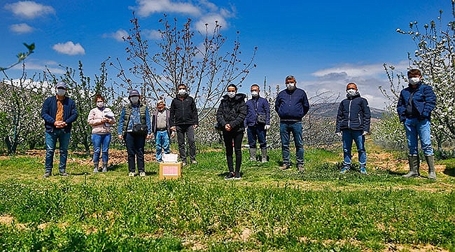 Elma kurduna karşı örnek biyoteknik mücadele