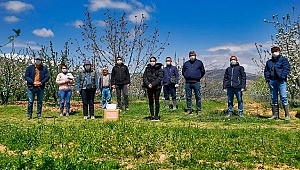 Elma kurduna karşı örnek biyoteknik mücadele