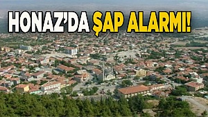 Honaz’da şap alarmı!