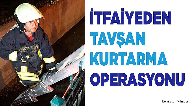İtfaiyeden tavşan kurtarma operasyonu