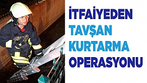 İtfaiyeden tavşan kurtarma operasyonu