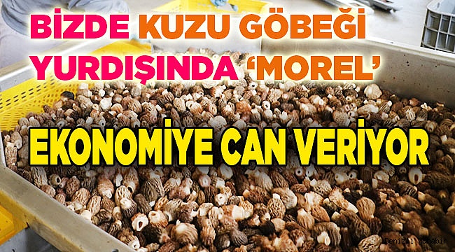 "Kuzu göbeği" ihracatı ekonomiye döviz kazandırıyor