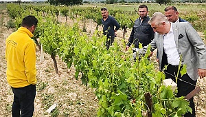 Sancar, ürünleri zarar gören çiftçilerle görüştü