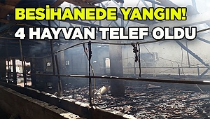 Tavas'ta çıkan yangında 4 büyükbaş telef oldu
