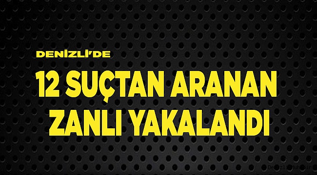 Denizli'de 12 suçtan aranan zanlı yakalandı