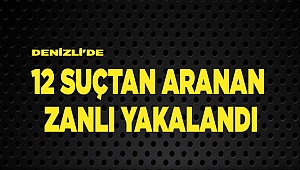 Denizli'de 12 suçtan aranan zanlı yakalandı