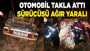 Denizli'de devrilen otomobilin sürücüsü yaralandı