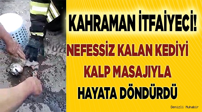 Denizli'de itfaiye eri, kediyi kalp masajıyla hayata döndürdü