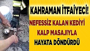 Denizli'de itfaiye eri, kediyi kalp masajıyla hayata döndürdü