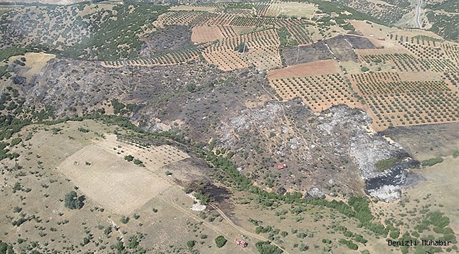Denizli'de ormanlık alandaki yangında 50 dekar alan zarar gördü