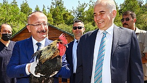 Denizli Valisi Atik, hayran kaldı