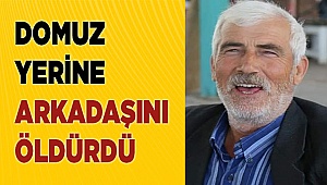 Domuz yerine arkadaşını vurdu