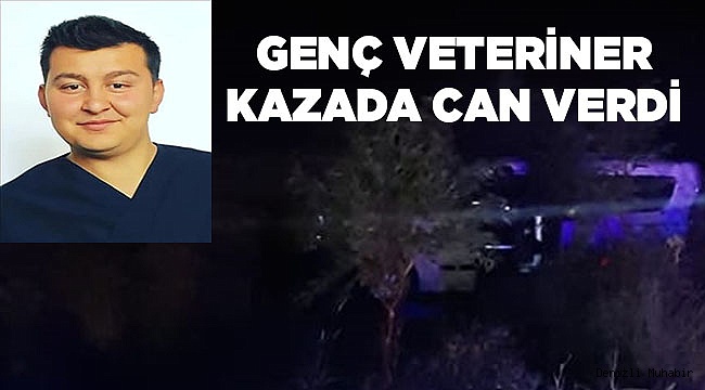 Genç Veteriner kazada can verdi