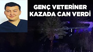 Genç Veteriner kazada can verdi