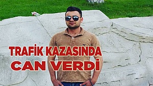 Kazada can verdi