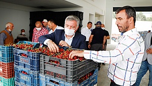 KEPENEK’TEN KİRAZ ÜRETİCİLERİNE MAVİ BONCUK