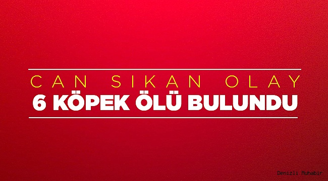 Köpekler telef oldu