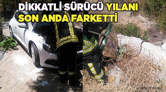 Otomobilin motor bölümüne giren yılan itfaiye ekiplerince çıkarıldı