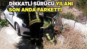 Otomobilin motor bölümüne giren yılan itfaiye ekiplerince çıkarıldı