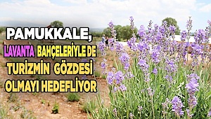 Pamukkale lavanta bahçeleriyle de turizmin gözdesi olmayı hedefliyor