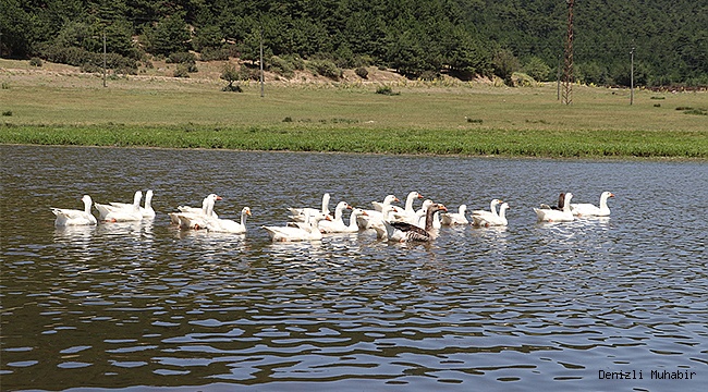 Yayla Gölü'nün Doğal Sit Alanı ilan edilmesi memnuniyetle karşılandı