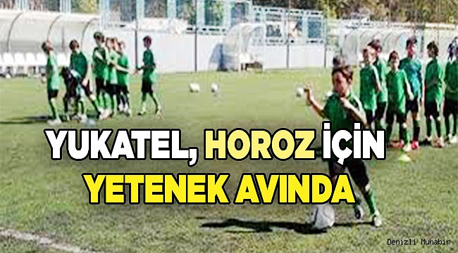 YUKATEL, HOROZ İÇİN YETENEK AVINDA