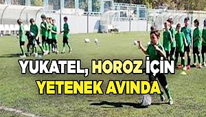 YUKATEL, HOROZ İÇİN YETENEK AVINDA