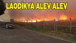 Antikkent'teki yangın korkuttu