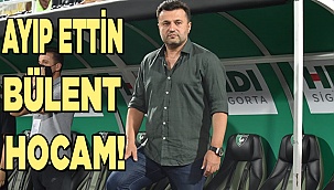 Ayıp ettin Bülent hocam!
