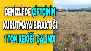 Denizli'de kurutmak için serilen yaklaşık 1 ton kekik çalındı