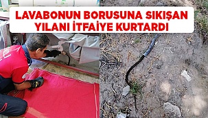 Denizli'de lavabo borusuna sıkıştı
