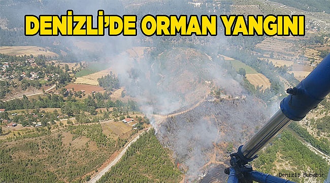 Denizli'de orman yangını