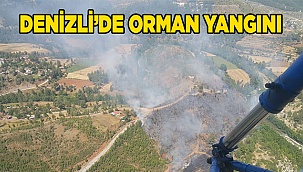 Denizli'de orman yangını