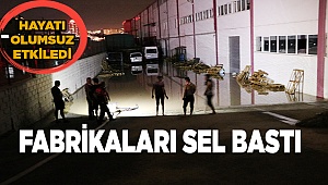 Denizli'de sağanak hayatı olumsuz etkiledi