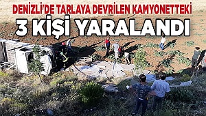 Denizli'de tarlaya devrilen kamyonetteki 3 kişi yaralandı