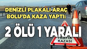 Denizli plakalı araç Bolu'da kaza yaptı: 2 ölü 1 yaralı