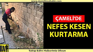 İTFAİYE EKİPLERİ SEFERBER OLDU