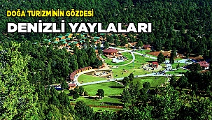 İZOLE TATİLİN ALTERNATİF ADRESLERİ YAYLALAR