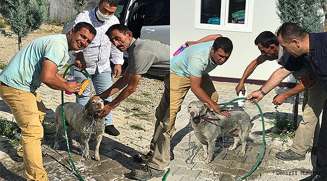 Kavurucu sıcaklarda can dostlar unutulmadı