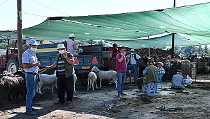 Kurban pazarına, zabıta denetimi