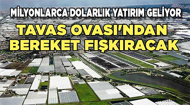 TAVAS TÜRKİYE'NİN HOLLANDASI OLABİLİR