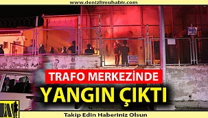 6 MAHALLE ELEKTRİKSİZ KALDI