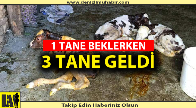 BESİCİYE ÜÇÜZ SÜPRİZİ