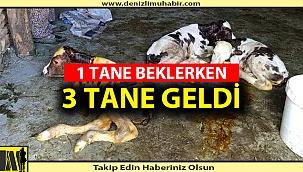 BESİCİYE ÜÇÜZ SÜPRİZİ