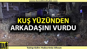Denizli'de arkadaşını tüfekle yaraladı