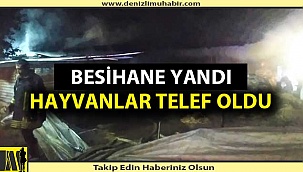 Denizli'de besihanede milyonluk zarar