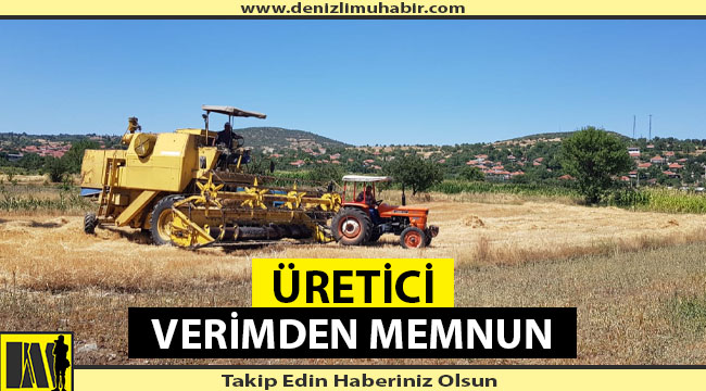 Denizli'de Bin 200 Rakımda Hasat Başladı