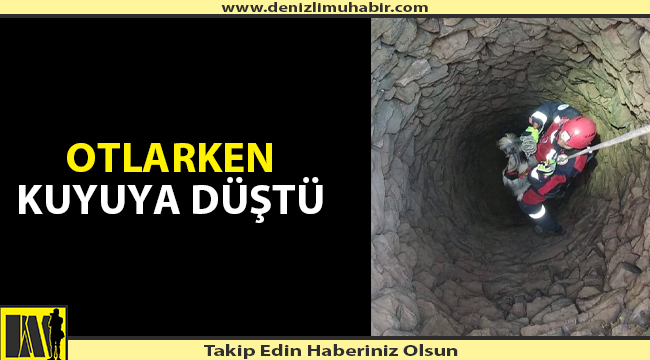 Denizli'de kuyuya düşen keçiyi itfaiye kurtardı
