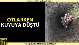 Denizli'de kuyuya düşen keçiyi itfaiye kurtardı
